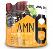 GYMortal AMN 6 Amino Powder, 300 гр